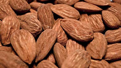 raw almonds rotating