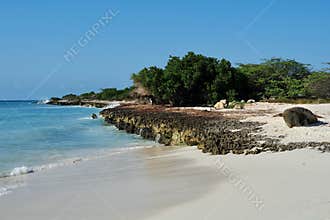 Sandy and Rocky Shoreline at Palm Beach, Aruba