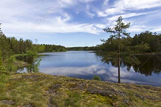 Summer landscape with a river in the northern part of Russia - Karelia