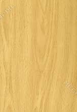 Pine Wood Texture