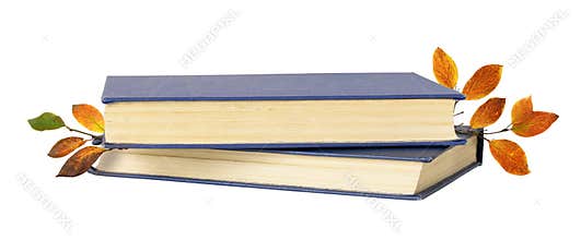Two old books with seasonak autumn leaves isolated on white