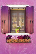 Pink wall and shutters on window, Burano, Italy