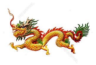 Chinese dragon on white background