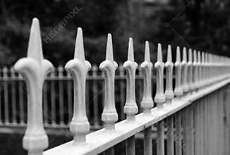 Rod Iron Fence