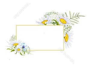 Watercolor frame with daisies and wild herbs