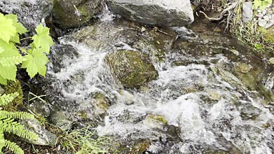 Crystal clear stream brook flowing naturally from Cascade mountains