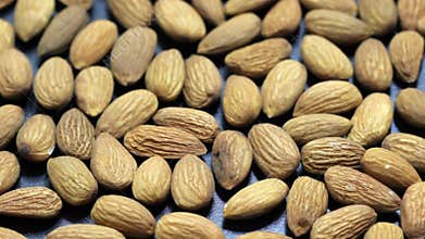 Healthy and nutritious Almonds
