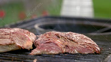 Close-up of grilled meat.