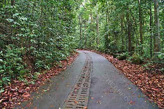 Nature trail