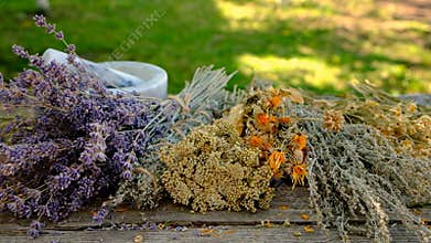 Woman with dried medicinal herbs. Selective focus.