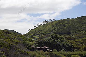 Azoren, mountains on the island Pico