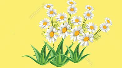 draw bunch of sunflower decorate with joining green aloe-vera leaf in circular shape on yellow screen background