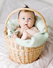 Baby in basket