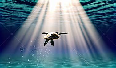 Peaceful Sea Turtle Gliding Through Sunlit Ocean Depths