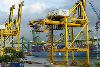 Container ships and cranes at Singapore harbor