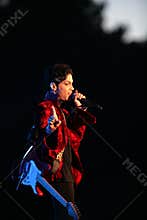 PRINCE IN CONCERT