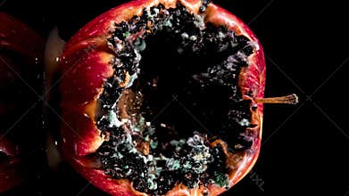 Rotting Red Apple Time-Lapse with Mold Growth