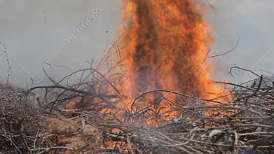Courageous firemen put out extensive fire