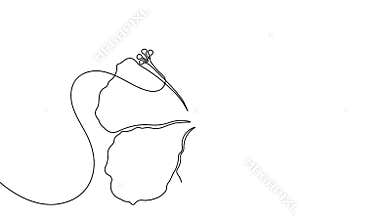 Animated hibiscus flower continuous line drawing minimal floral loop