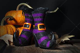 Halloween Witches Booties