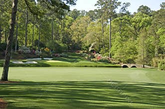 12th hole at golf course