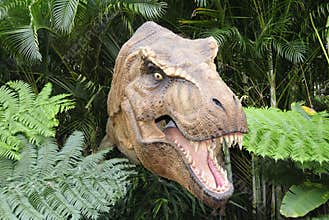 Dinosaur