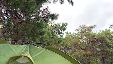 Rain falling on camping tent in pine forest