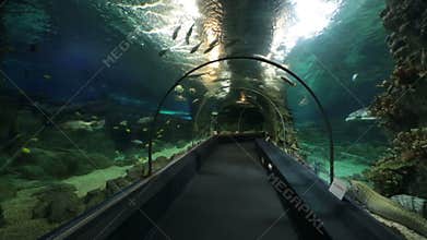 Sochi Discovery World Aquarium