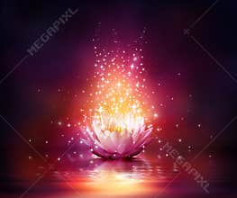 Magic flower on water