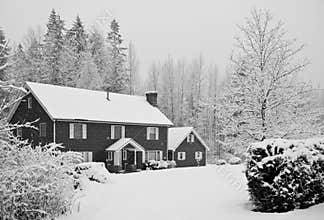 Snow covered house in forest