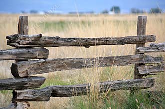 Little Fence on the Prairie