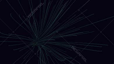 Botanical sketch tall plant with slender leaves and curved stem