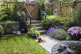 Small garden