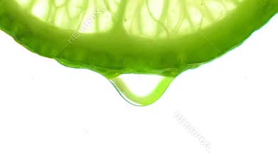 Fresh slice lime, a drop of water falls. The fruit gives off freshness and juice filling. Concept of fresh fruit