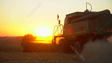 Modern combine harvester gathers wheat crop in field at sunset. Combines working in field. Food industry, Harvest wheat