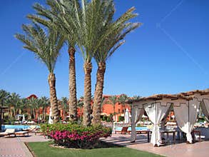 Leisure on Sinai peninsula.
