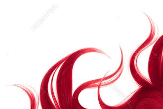 Long disheveled pink hair, isolated on white background