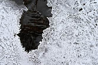 Frozen stream. Beautiful winter nature background. Frost, ice and snow in the winter