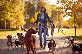 Happy dog walker enjoying with dogs while walking outdoors