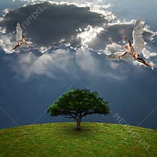 Angels above green tree