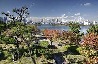 Autumn in Tokyo bay, Japan