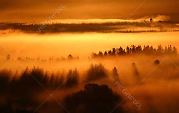 Sunrise fog