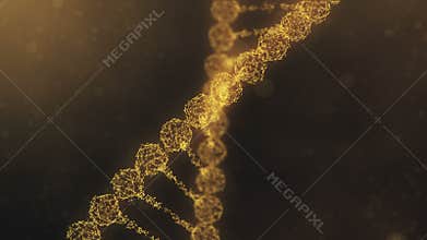 Assembling and scattering of a rotating plexus DNA chain - golden orange version