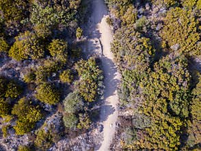 Aerial view of the path of customs officers, vegetation and Mediterranean bush, Corsica, France. Sentier du Douanier