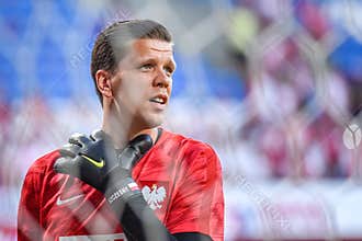 Goalkeeper Wojciech Szczesny