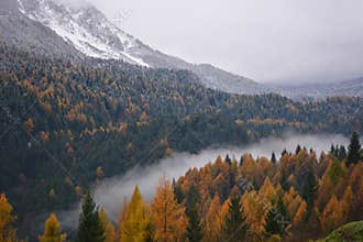 the fog in the valley of the river is dividing the two seasons the autumn from winter