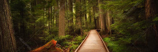 Trail of the Cedars in Glacier National Park, Montana