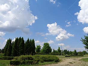 Generic Vegetation - Eutopia Garden - Arad, Romania