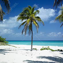 Varadero