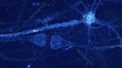 Synapses and axones transmitting electrical signals.